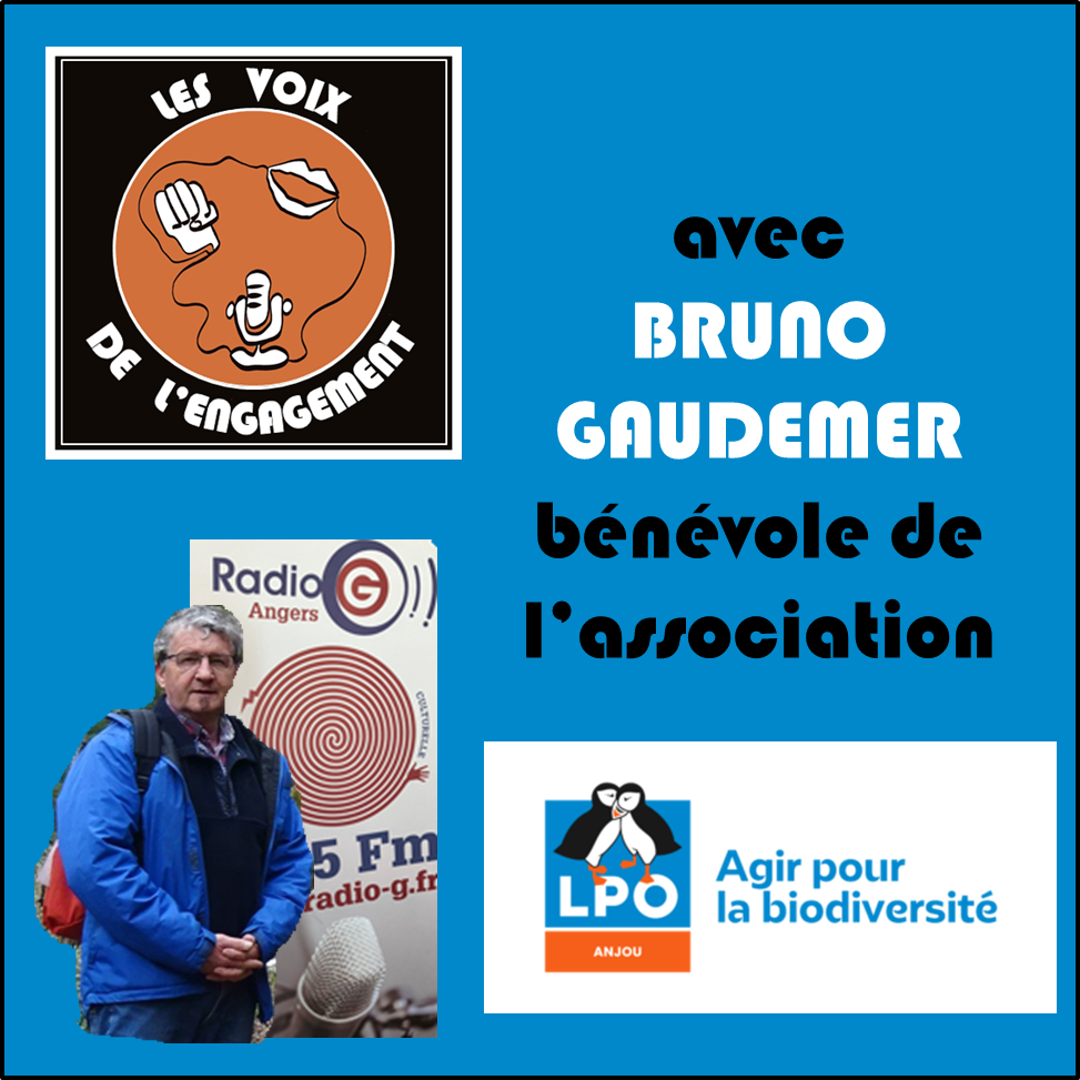 Les voix de l&#039;engagement Les voix de l'engagement du 22 05 2024