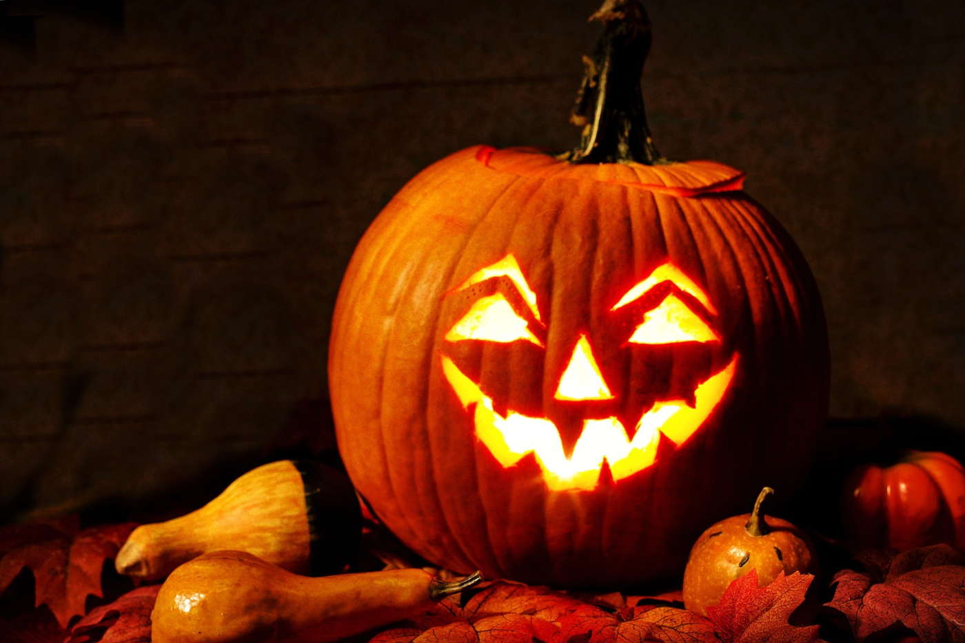 L'actu perchée - Halloween L&#039;actu perchée de Loizeau L'actu perchée - Halloween
