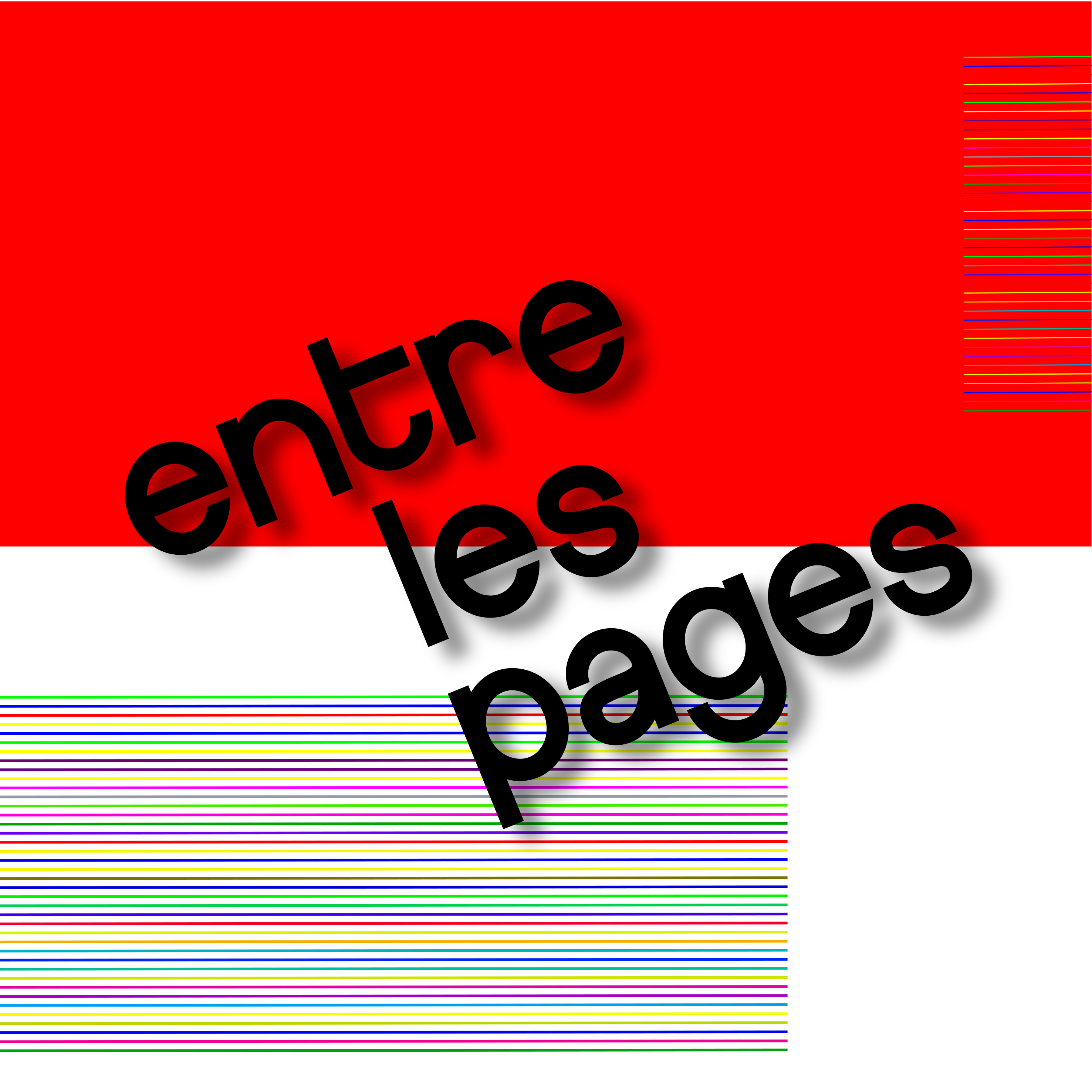 Entre les pages, l&#039;univers des livres en Anjou. On a lu Epicènes (ed. à la flamme)