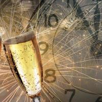 L&#039;actu perchée de Loizeau L'actu perchée - La soirée du Nouvel an