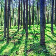 éclats de livre, l&#039;émission dédiée à la littérature jeunesse Dans la forêt - Emission du 29 09 2019