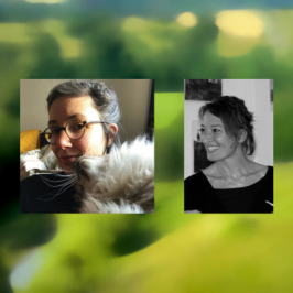 Entre les pages, l&#039;univers des livres en Anjou. Entre les pages du 07 05 2025