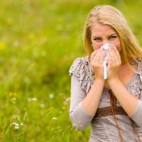L&#039;actu perchée de Loizeau L'actu perchée - L'allergie au pollen