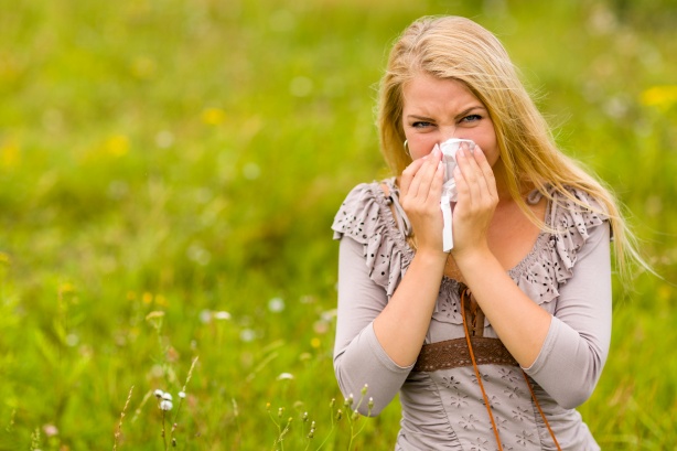 L'actu perchée - L'allergie au pollen L&#039;actu perchée de Loizeau L'actu perchée - L'allergie au pollen